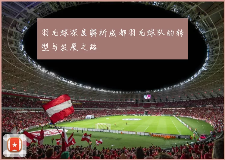 羽毛球深度解析成都羽毛球队的转型与发展之路