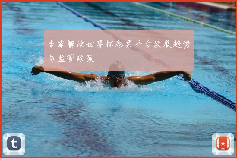 专家解读世界杯彩票平台发展趋势与监管政策