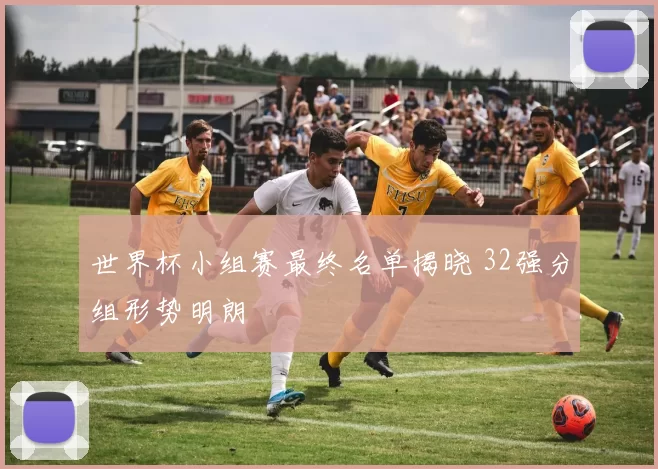 世界杯小组赛最终名单揭晓 32强分组形势明朗