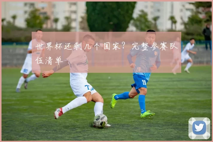 世界杯还剩几个国家？完整参赛队伍清单