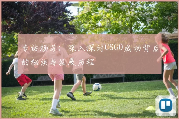 专访杨芳：深入探讨CSGO成功背后的秘诀与发展历程