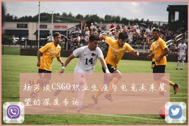 杨芳谈CSGO职业生涯与电竞未来展望的深度专访