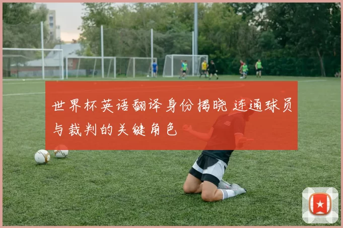 世界杯英语翻译身份揭晓 连通球员与裁判的关键角色