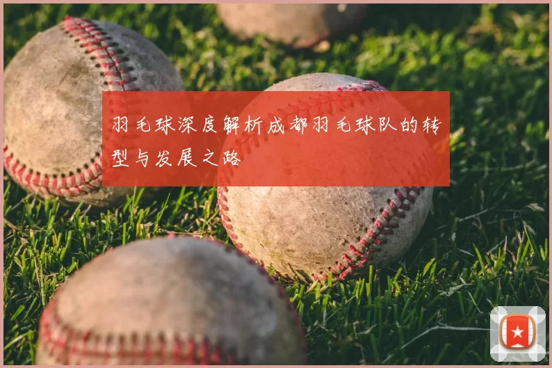 羽毛球深度解析成都羽毛球队的转型与发展之路
