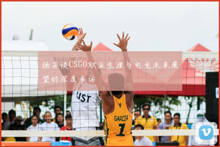 杨芳谈CSGO职业生涯与电竞未来展望的深度专访