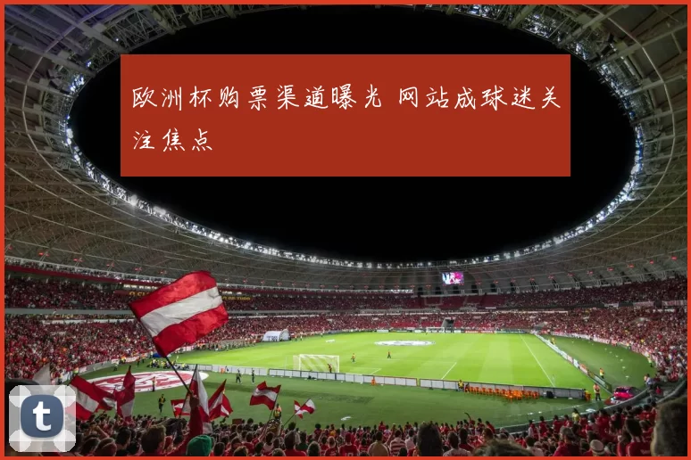 欧洲杯购票渠道曝光 网站成球迷关注焦点
