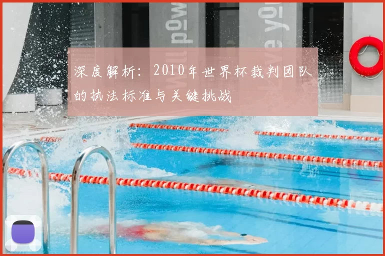 深度解析：2010年世界杯裁判团队的执法标准与关键挑战