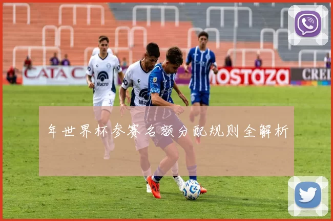 年世界杯参赛名额分配规则全解析