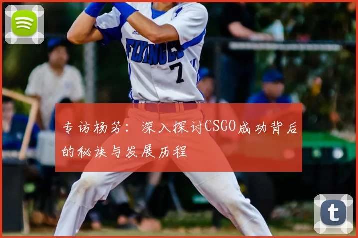 专访杨芳：深入探讨CSGO成功背后的秘诀与发展历程