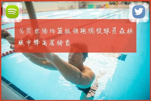 戈贝尔场均篮板领跑现役球员森林狼中锋高居榜首