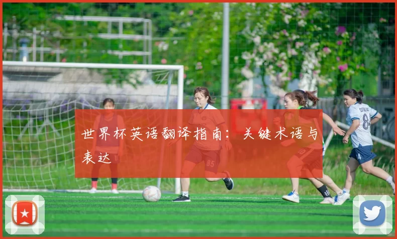 世界杯英语翻译指南:关键术语与表达