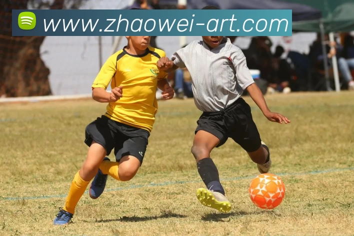 多媒体互动体验